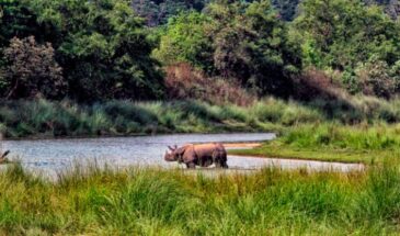 Bardia National park Jungle Safari
