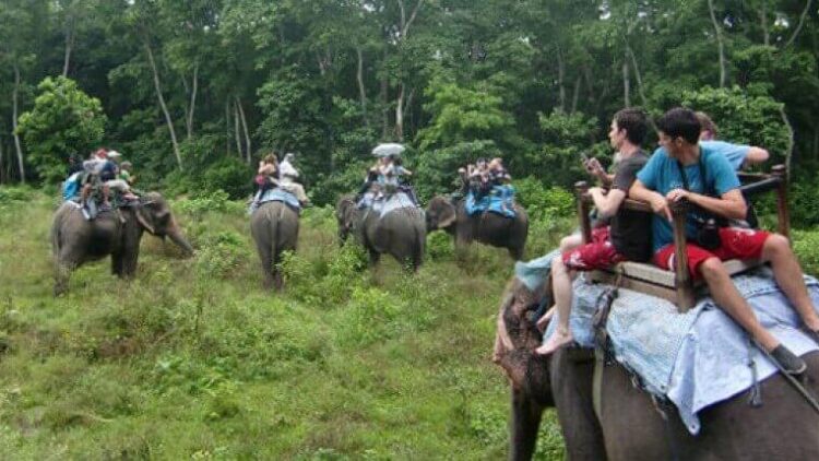 Chitwan Jungle Safari